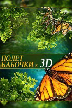 Полет бабочки 3D (2012)